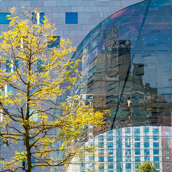 Das Rotterdamer Markthal (Niederlande) von Alain Ulmer