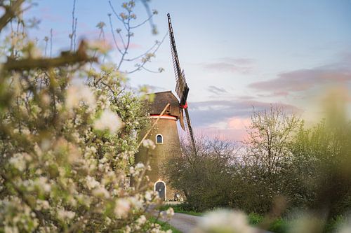Blick auf die Mühle von Max ter Burg Fotografie