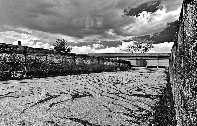 Abandoned, mysterious, East German dairy farm by Silva Wischeropp