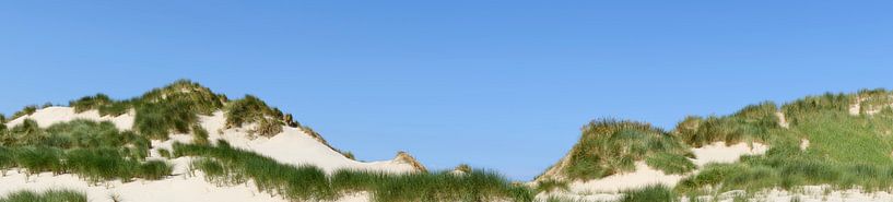 Sand dunes panorama on a summer day by Sjoerd van der Wal Photography