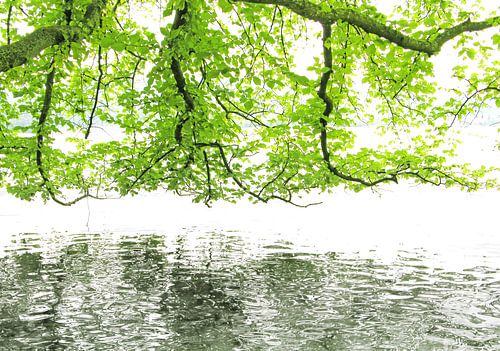 at the lake by fantasina