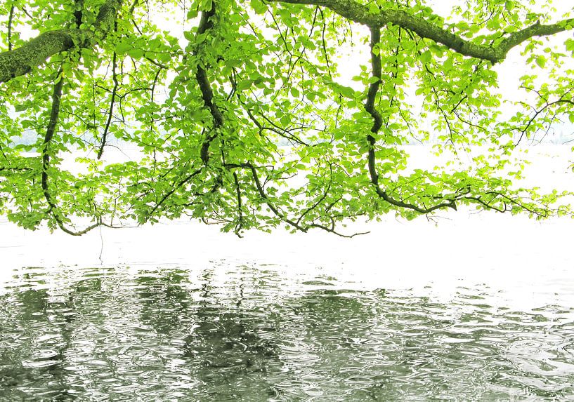 at the lake by fantasina