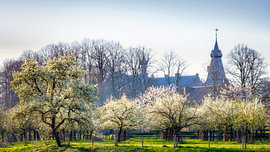 Spring in Doorwerth by Bram de Jong