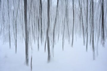 Bomen in de sneeuw van Oliver Lahrem