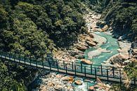Hangbrug in het Taroko Gorge National Park in Taiwan van Expeditie Aardbol thumbnail