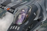 Piloot Stefan "Vador" Darte in zijn F-16 "Dark Falcon". van Jaap van den Berg thumbnail