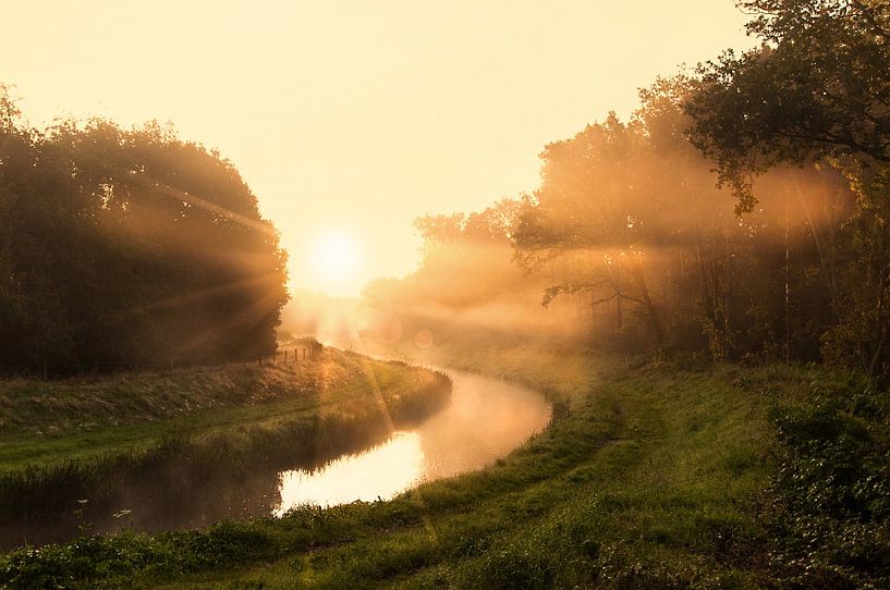 Lichtstroom van Dennis Timmer