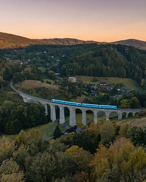 Zug über die Novina-Brücke in Tschechien von Ewold Kooistra