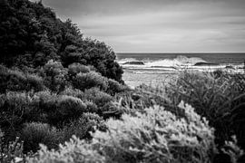 Küste in stiller Weite von Patrick Kilb