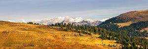 Panorama der Dolomiten in Norditalien