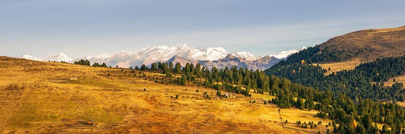 Panorama of the Dolomites in northern Italy by Marga Vroom