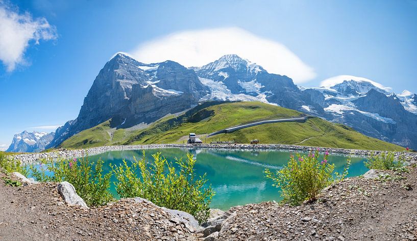 alpenlandschap Kleine Scheidegg en meer Fallbodensee van SusaZoom