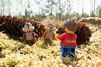 Knabbern und Dale mit Lars