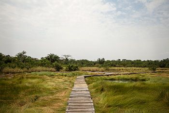 Lopend over de houten planken boven het gras