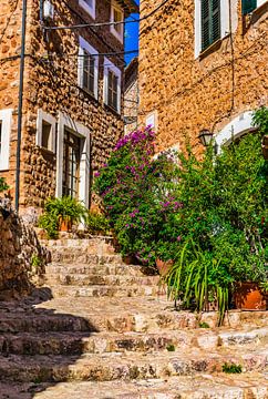 Oud mediterraan dorp van Fornalutx op Mallorca, Spanje van Alex Winter