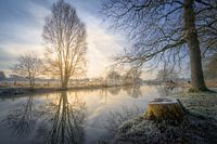 Winterwunderland