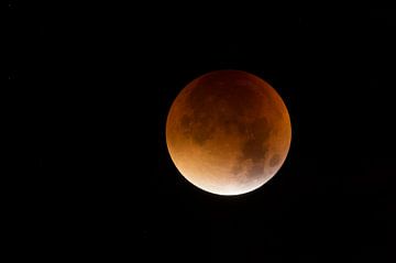 Lunar Eclipse, Red supermoon, Blood moon, 28th September 2015. van wunderbare Erde
