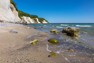 Chalk cliff on shore of the Baltic Sea by Rico Ködder