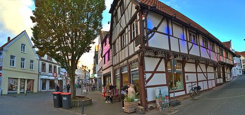 Recklinghausen Oude Stad Panorama