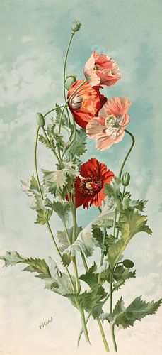 Papavers, Thaddeus Welch