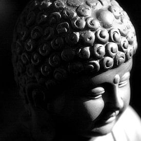 Little Buddha van Brian Raggatt