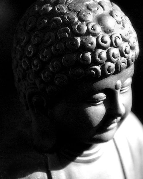 Little Buddha von Brian Raggatt