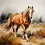 Haflinger