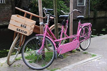 Roze tandem en houten fiets aan gracht van Delft