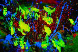 Yoni von Fotoatelier Tilburg