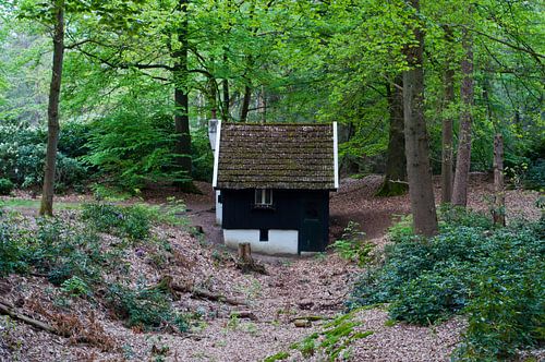 Hutje in het bos