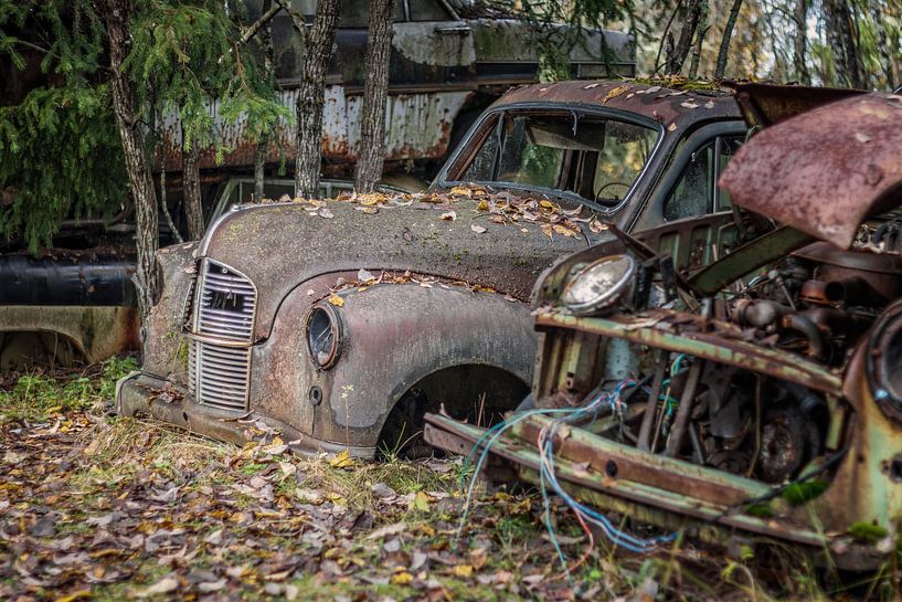 Rusty legacies in the forest - car graveyard in Sweden by Gentleman of Decay