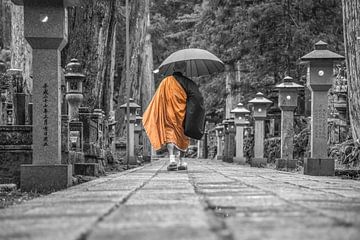 Monk in Japan by Celina Dorrestein