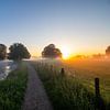 Lever de soleil brumeux sur le chemin de halage du domaine de Rhijnauwen. sur Arthur Puls Photography
