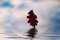 Glasbol