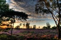 Landgut Den Treek III Amersfoort