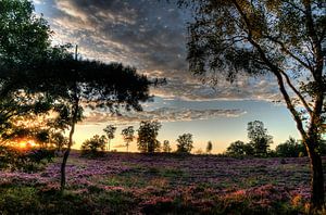 Landgut Den Treek III Amersfoort