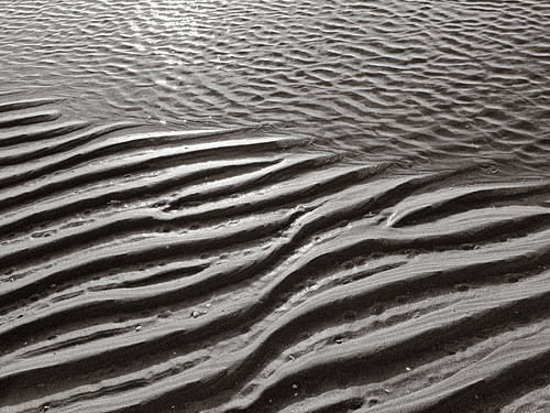 The winding of the watery sand in black and white