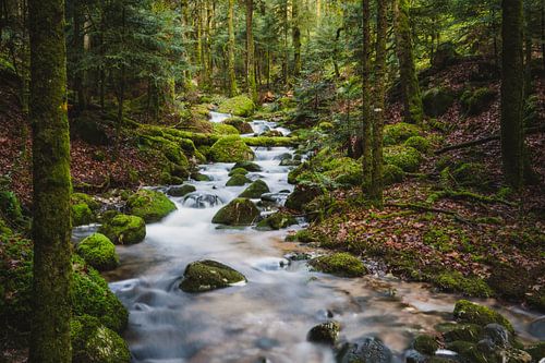 Dromerige beek in sprookjesbos 1, long exposure | Vogezen, Frankrijk