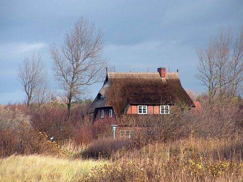 Duinlandschap aan de Oostzee in Wustrow