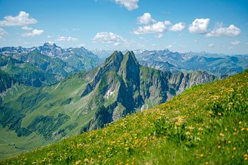 Höfats Ostseite mit den Allgäuer Hochalpen im Hintergrund von Leo Schindzielorz