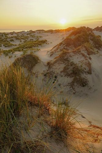 Terschelling, wat een eiland