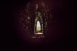 La vue unique du Vatican