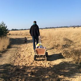 Maarten van Loon Profile picture