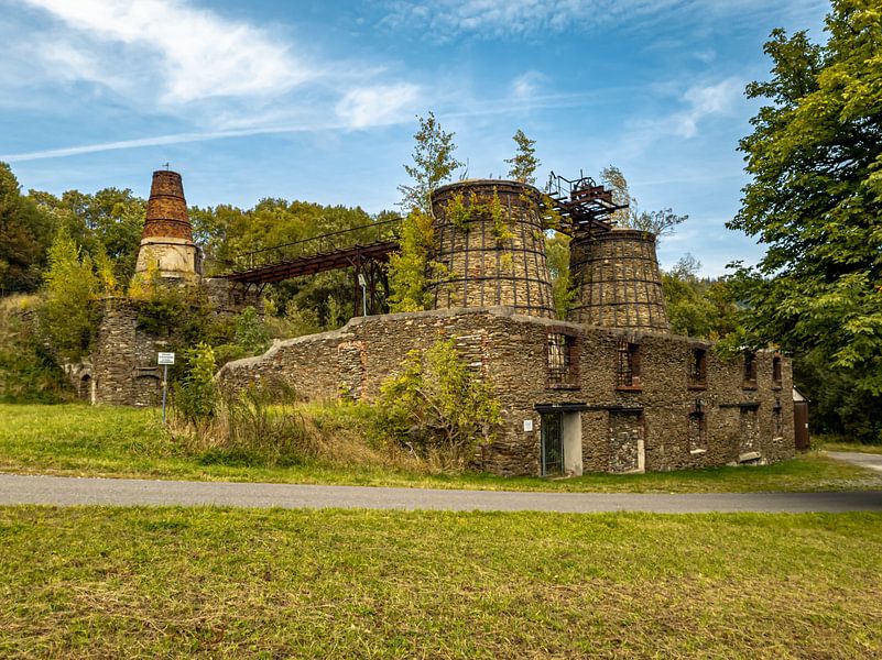 Kalkplant Verloren Plaats van Johnny Flash