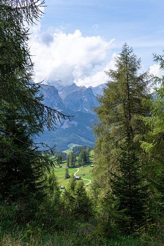 Vue entre les arbres