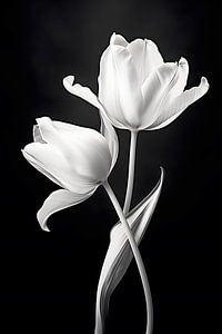 Twin Tulips in Noir van PixelMint.