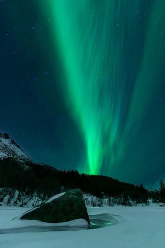 Northern Lights, Aurora Borealis over the Lofoten Islands by Sjoerd van der Wal Photography