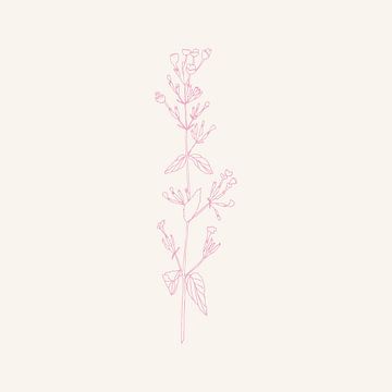 Romantic botanical drawing in neon pink on white no. 6 by Dina Dankers