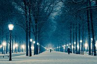 The Hague in Winter