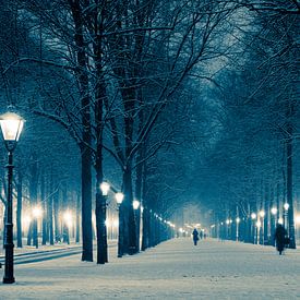 Lange Voorhout in de winter van Raoul Suermondt